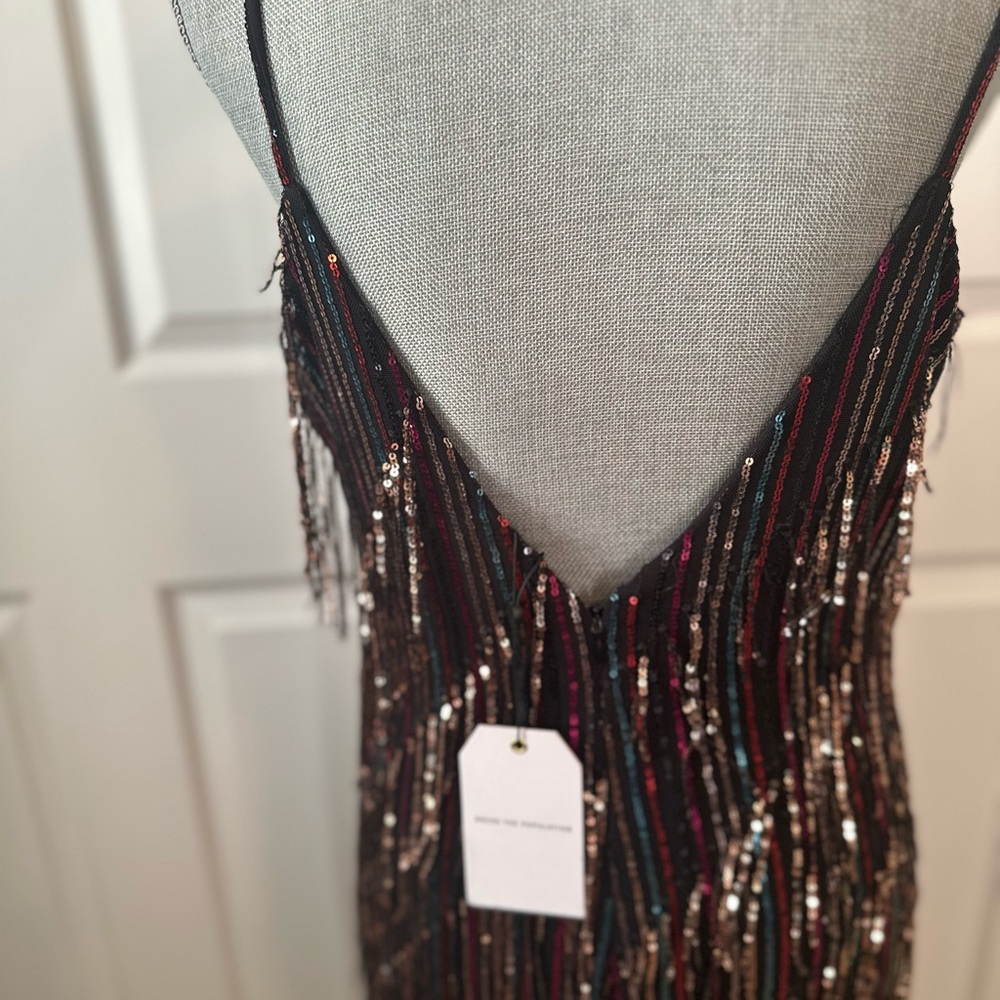 Beautiful Sequin Fringe Dress the Population Dress. NWOT.